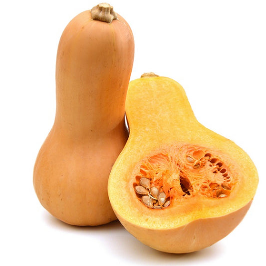Βιολογική Κολοκύθα Butternut Bio, Ελληνική, Greenhousebio